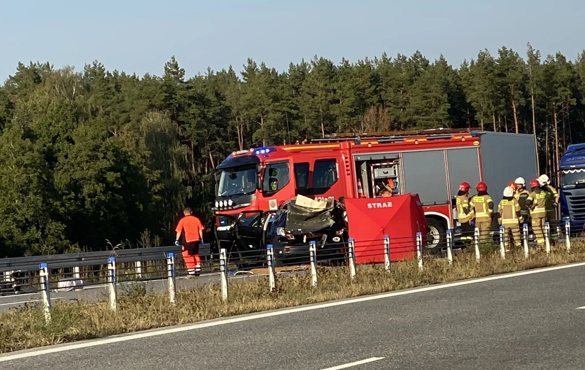 Do dramatycznego wypadku doszło na trasie z Łomży do Suwałk na wysokości Ełku. Zginęły dwie osoby, kilkuletnie dziecko i inna osoba dorosła są pod opieką ratowników medycznych.