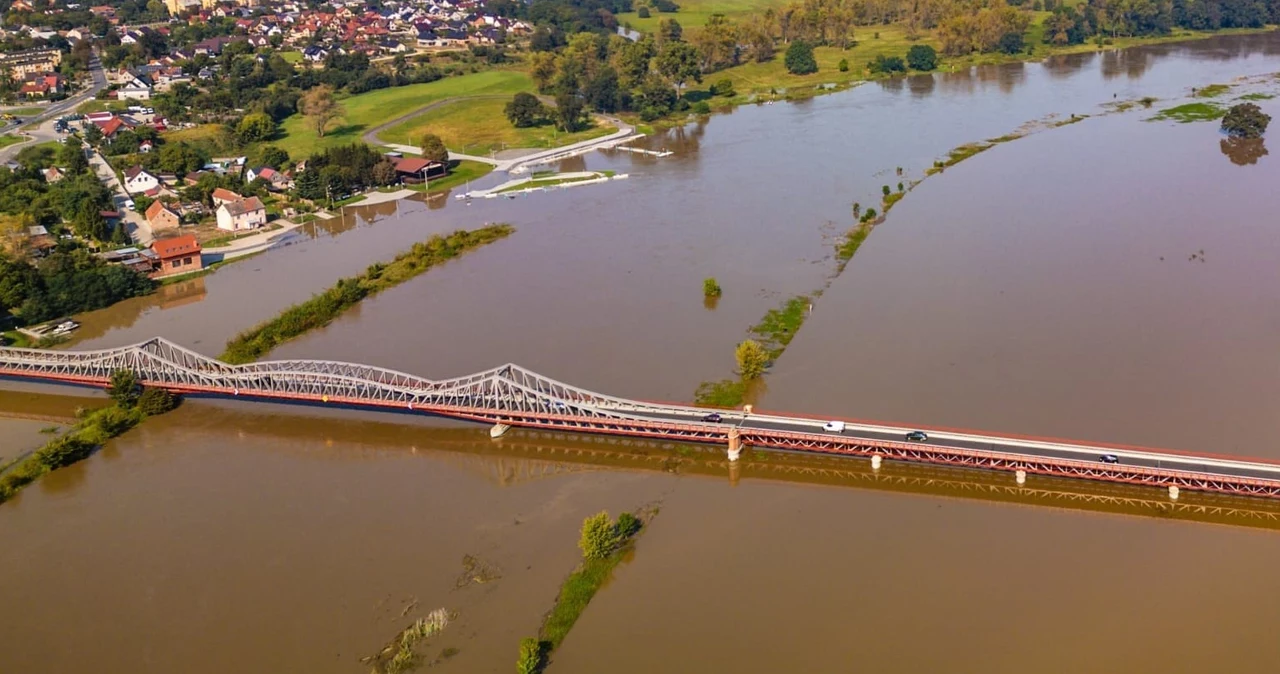 Odra w Ścinawie