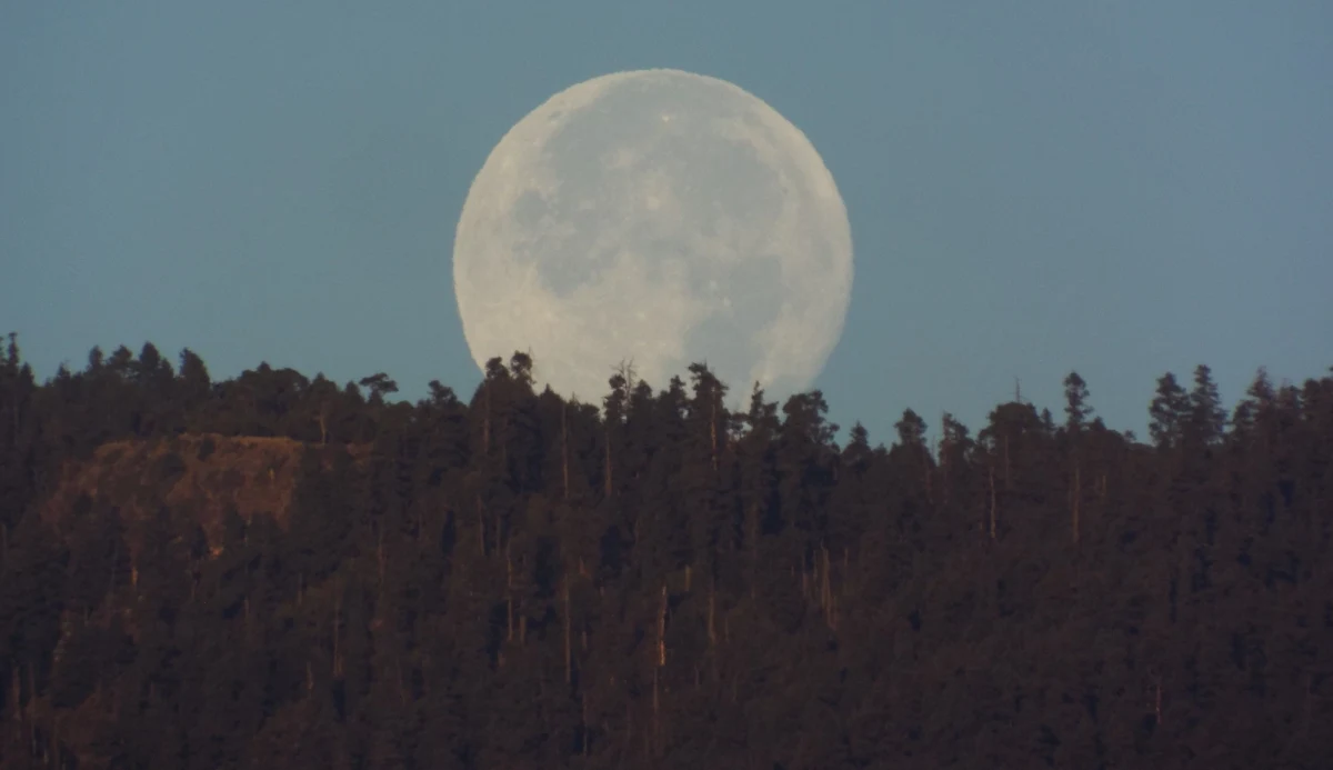 Przez niemal dwa miesiące, od 29 września do 25 listopada, Ziemia będzie miała aż dwa naturalne satelity - informują astronomowie. Oprócz Księżyca po orbicie ziemskiej będzie poruszała się również asteroida 2024 PT5, określana jako miniksiężyc.