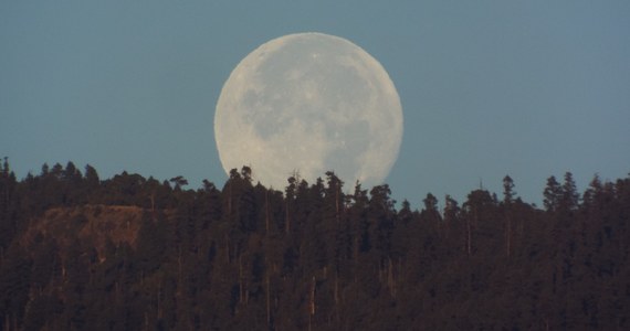 Przez niemal dwa miesiące, od 29 września do 25 listopada, Ziemia będzie miała aż dwa naturalne satelity - informują astronomowie. Oprócz Księżyca po orbicie ziemskiej będzie poruszała się również asteroida 2024 PT5, określana jako miniksiężyc.