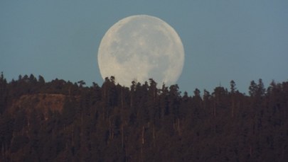 Na niebie będą dwa Księżyce. Sensacyjne doniesienia astronomów