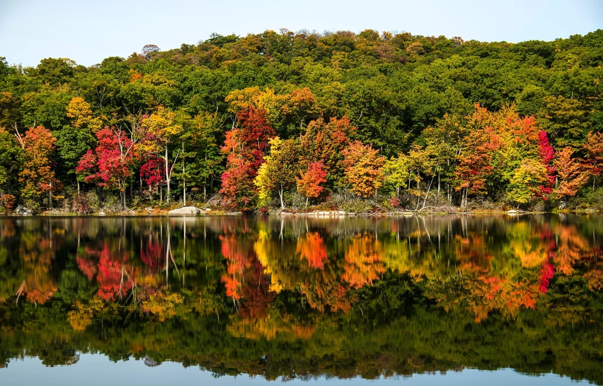 W niedzielę, dokładnie o 14:44 polskiego czasu rozpoczęła się astronomiczna jesień. Potrwa do 21 grudnia. W tym roku na jesiennym niebie będzie można zobaczyć m.in. spektakularną kometę, niektóre planety, meteory i malownicze koniunkcje jasnych planet z Księżycem.