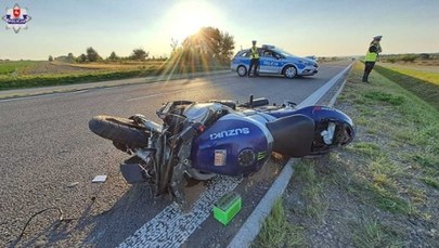 Motocyklista zderzył się z łosiem. 38-latek nie żyje