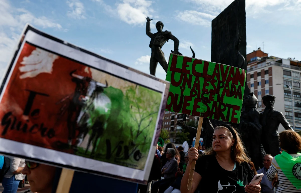 "Hiszpania przeciw walkom byków" - takie hasło skandowano podczas demonstracji aktywistów przed Las Ventas w Madrycie. To symboliczne miejsce, największa arena korridy w Madrycie, która może pomieścić 24 tys. widzów. 