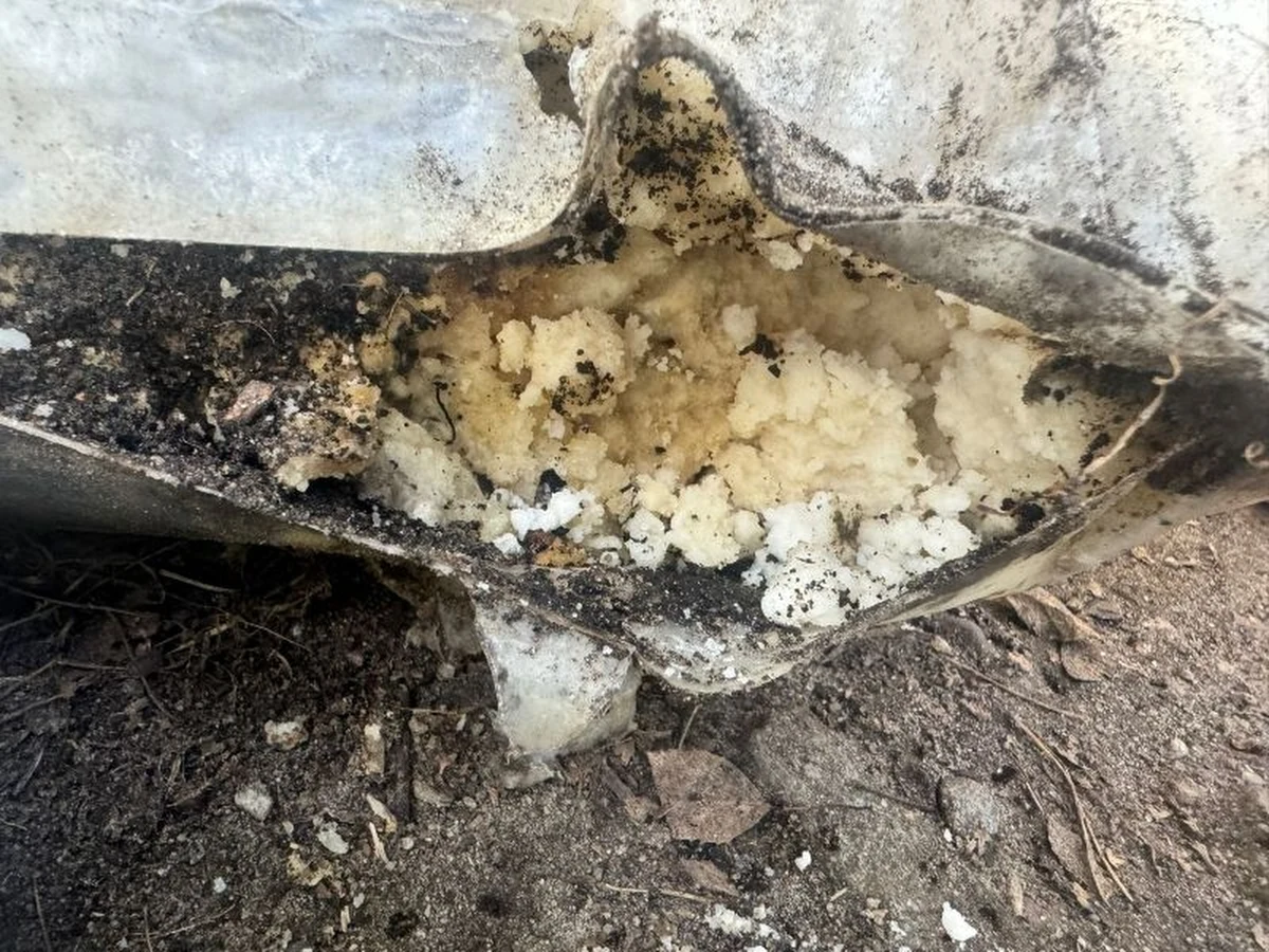 Uczestnicy akcji "Sprzątanie świata" znaleźli w lesie w Gdyni worek z białą, zbryloną substancją. Wezwani na miejsce strażacy stwierdzili, że jest ona niebezpieczna dla ludzi i groźna dla środowiska naturalnego. Na szczęście nikomu nic się nie stało.   