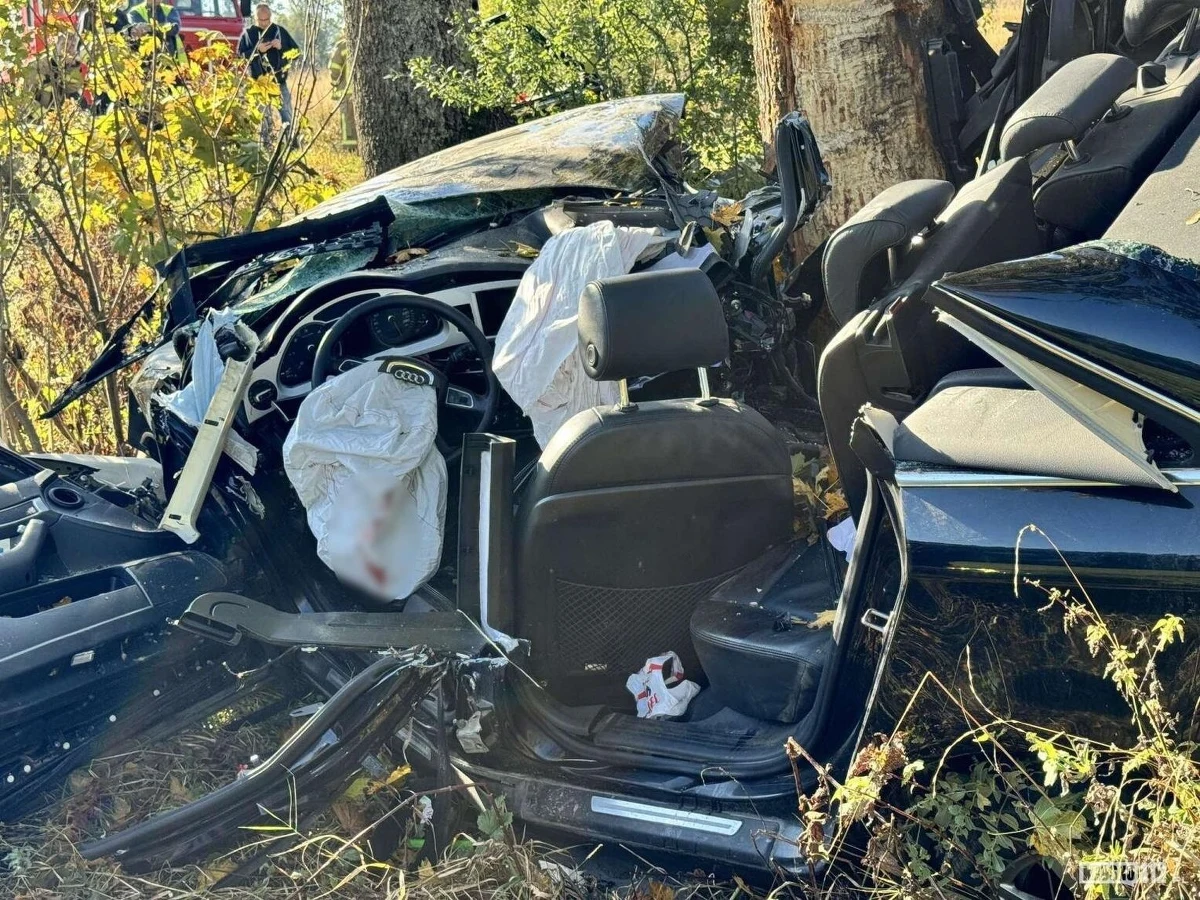 Dwóch młodych mężczyzn zginęło w wypadku w Woli Wyżnej k. Jaślisk na Podkarpaciu. Ze wstępnych ustaleń policji wynika, że audi, którym podróżowali, wypadło z drogi i uderzyło w drzewo.