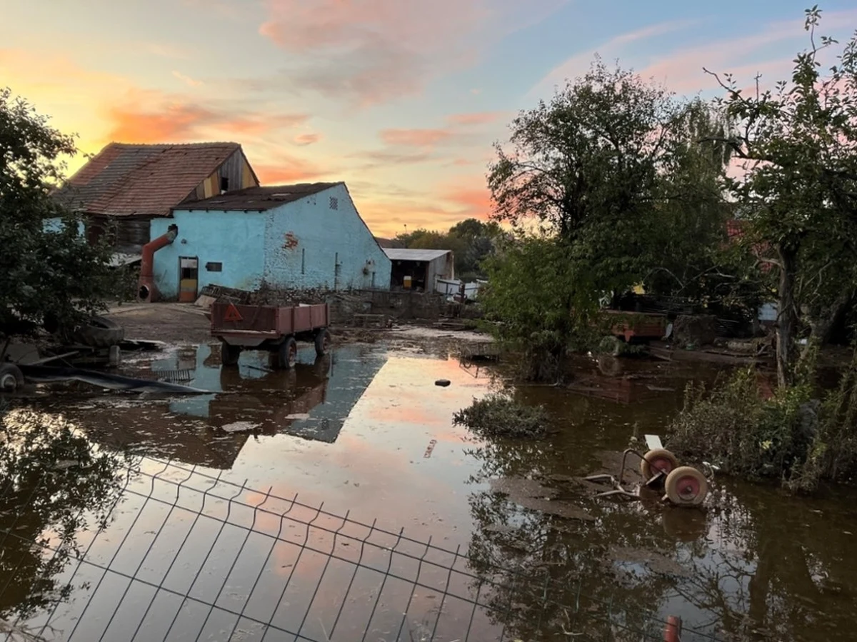 "Kulminacyjna fala powodziowa na Odrze powoli zbliża się do Cigacic" - powiedział rzecznik lubuskiej straży pożarnej. Jak dodaje stan Odry w Cigacicach wynosi 630 cm i wciąż rośnie. 