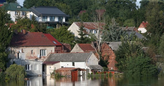 We wtorkowy poranek fala kulminacyjna na Odrze przechodzi przez Cigacice w województwie lubuskim - poziom wody osiągnął tam 645 centymetrów. IMGW poinformował, że stan alarmowy jest przekroczony na 21 stacjach hydrologicznych w dorzeczu Odry, ale co ważne - poziom wody na dopływach Odry stopniowo spada.