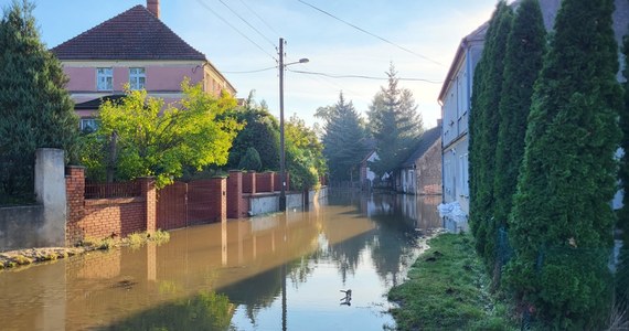 We wtorek przez Cigacice w województwie lubuskim przechodzi fala kulminacyjna na Odrze. Poziom wody w mieście osiągnął prawie 6,5 metra, przekraczając stan alarmowy o prawie 2,5 metra. Mieszkańcy walczą z żywiołem.