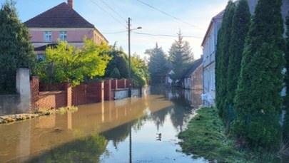 Zalania w Cigacicach. Przez miasto przechodzi fala kulminacyjna na Odrze