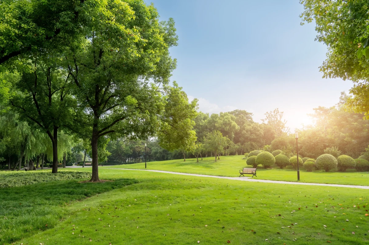 We wtorek ruszyło głosowanie na projekty zgłoszone do  kieleckiego budżetu obywatelskiego. Mieszkańcy mogą wybierać spośród 134 propozycji. Głosowanie, które odbywa się wyłącznie drogą elektroniczną, potrwa do 7 października. Na realizację projektów przeznaczono 9,3 mln zł.