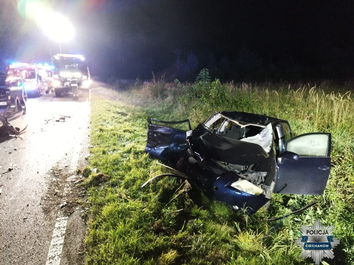 Nie udało się uratować życia 24-latka, którego auto kilka dni temu w miejscowości Bardonki k. Ciechanowa na Mazowszu uderzyło w łosia. Mężczyzna zmarł w szpitalu - poinformowała rzecznika prasowa Komendy Powiatowej Policji w Ciechanowie asp. Magda Sakowska.