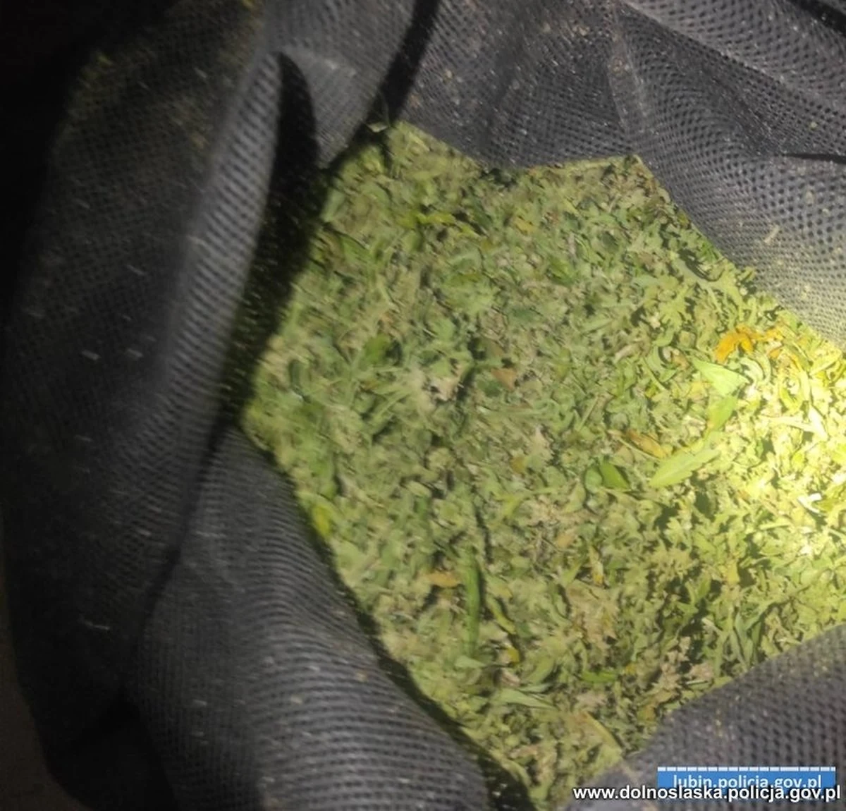 Ponad 22 kilogramy marihuany przejęli policjanci z Lubina. Jej charakterystyczny zapach wyczuli przez otwarte okno radiowozu. Środki odurzające były ukryte w pustostanie.