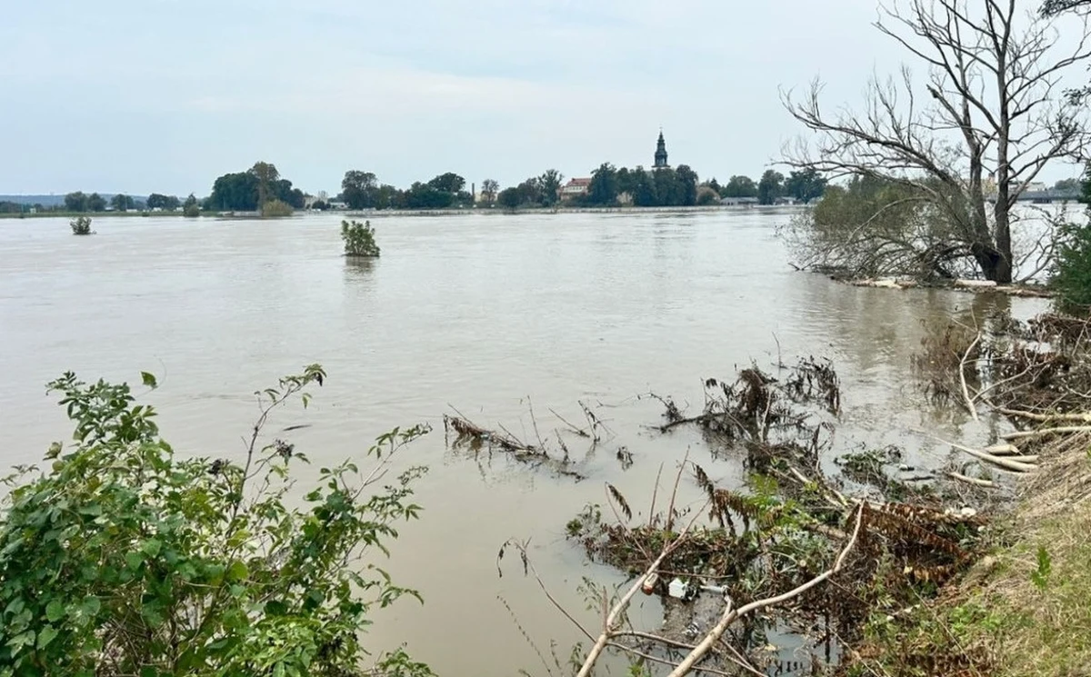 "Prowadzone są wzmożone prace w Nadzorze Wodnym Nowa Sól i Bytomiu Odrzańskim. Tam występują lokalne przesiąki. Dwie miejscowości koło Krosna Odrzańskiego zostały zalane - Osiecznica i Raduszec Stary" - poinformowała podczas posiedzenia sztabu kryzysowego prezes Wód Polskich Joanna Kopczyńska.