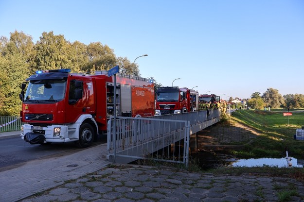 /fot. mat. prasowe UM Ciechanów /RMF MAXX