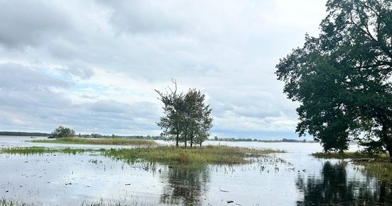 Kaleńsko, Chlewice i Porzecze - między innymi w tych zachodniopomorskich miejscowościach może dojść do podtopień, gdy nadejdzie fala powodziowa na Odrze. W Porzeczu już w środę zalana jest częściowo droga prowadząca do Odry, a poziom wody dopiero zaczyna rosnąć. W gminie Boleszkowice także są pojedyncze miejscowości, którym zagraża wielka woda. Kiedy należy spodziewać się eskalacji żywiołu?