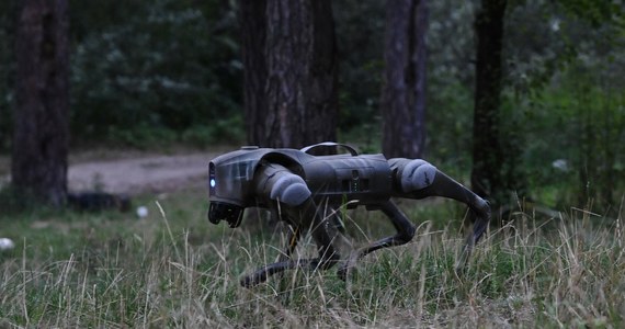 Ukraińskie wojsko opublikowało wideo, na którym dron zrzuca na ziemię "bojowego robota-zwiadowcę" przypominającego psa, a ten podnosi się i zaczyna przemieszczać – podało amerykańskie wydanie tygodnika „Newsweek”. Od sierpnia "psy-roboty" są wykorzystywane jako wsparcie sił ukraińskich na linii frontu.