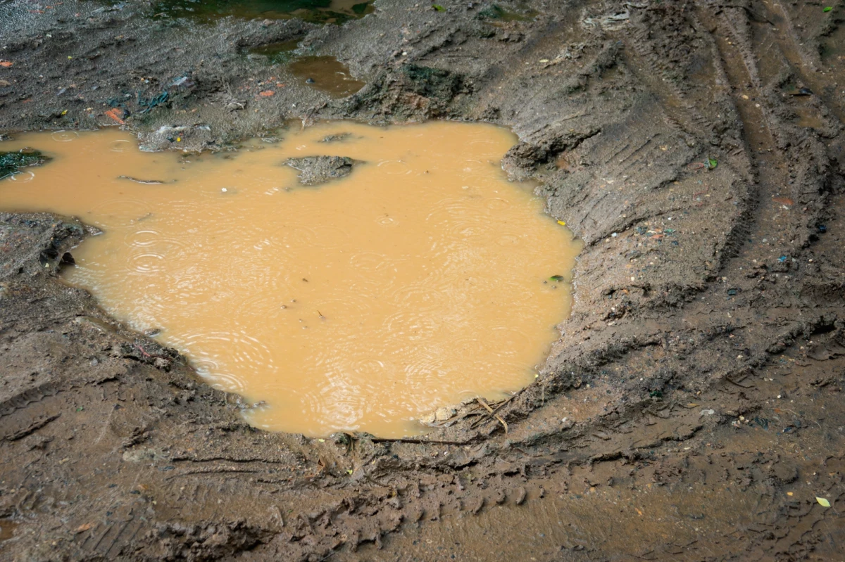 Kilku policjantów i strażaków było potrzebnych, żeby wyciągnąć 32-letniego mieszkańca Jaworzna z rowu melioracyjnego wypełnionego błotem popowodziowym. "Wychłodzony mężczyzna trafił do szpitala" - poinformowano w czwartek. Do zdarzenia doszło w miejscowości Brzeszcze w Małopolsce. 