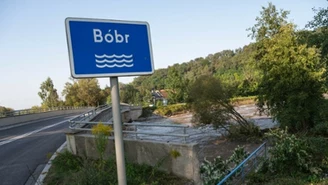 Ekspert drwi ze słów premiera: Znaleźliśmy kozła ofiarnego. Bóbr winny powodzi