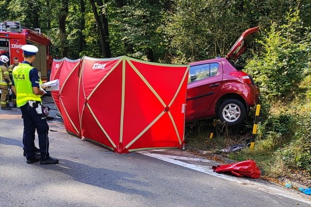 /KPP Pruszcz Gdański /Policja