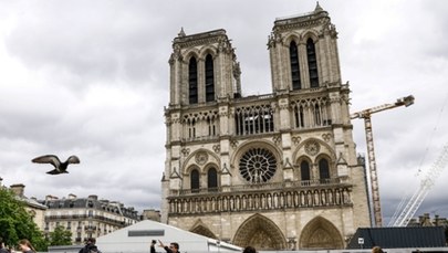 Macron zakazał fotografowania wnętrza katedry Notre-Dame? We Francji zawrzało