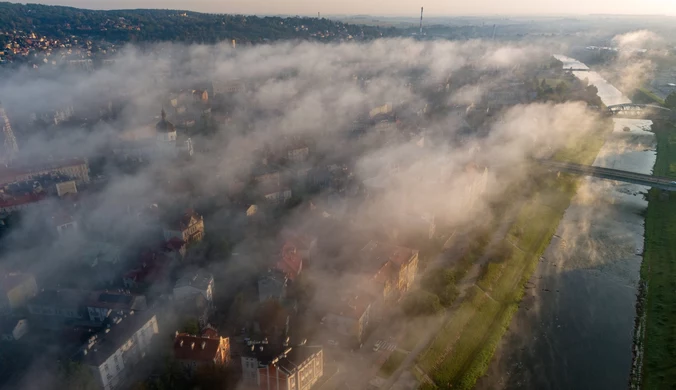 Jesień z tropikalnym akcentem. Niezwykła noc na Podkarpaciu