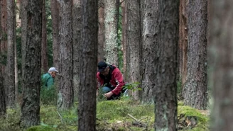 Jesienny wysyp grzybów w dwóch częściach Polski. Grzybiarze zacierają ręce