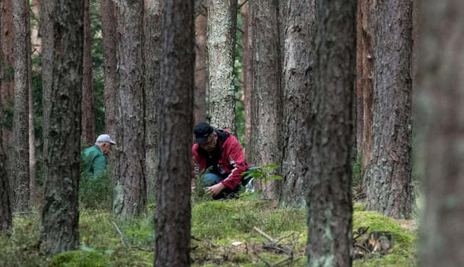 Jesienny wysyp grzybów w dwóch częściach Polski. Grzybiarze zacierają ręce