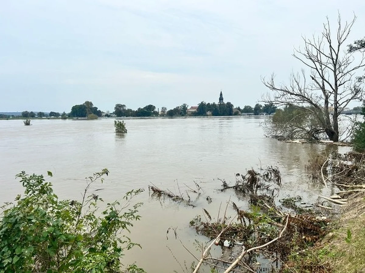 Zakaz używania wody z Odry wprowadził od dziś wojewoda zachodniopomorski. W całym województwie obowiązuje też zakaz żeglugi po rzece; nie można również łowić w niej ryb.
