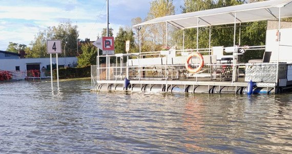 "Odra w Kostrzynie nad Odrą ma 523 cm, a stan alarmowy to 470 cm. Nic poważnego się nie dzieje, możemy mówić, że jest spokojnie" - przekazał w piątek wieczorem rzecznik lubuskiej straży pożarnej mł. bryg. Arkadiusz Kaniak. 