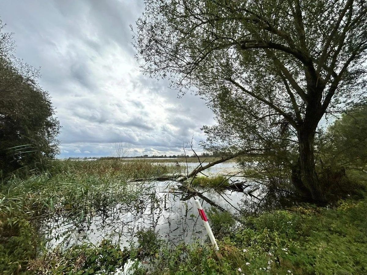 "Wojewódzkie Centrum Zarządzania Kryzysowego nie odnotowało poważniejszych zdarzeń związanych w sytuacją hydrologiczną w regionie" - poinformował w sobotę rano dyżurny WCZK. Stany alarmowe przekroczone są w Gozdowicach i Bielinku.