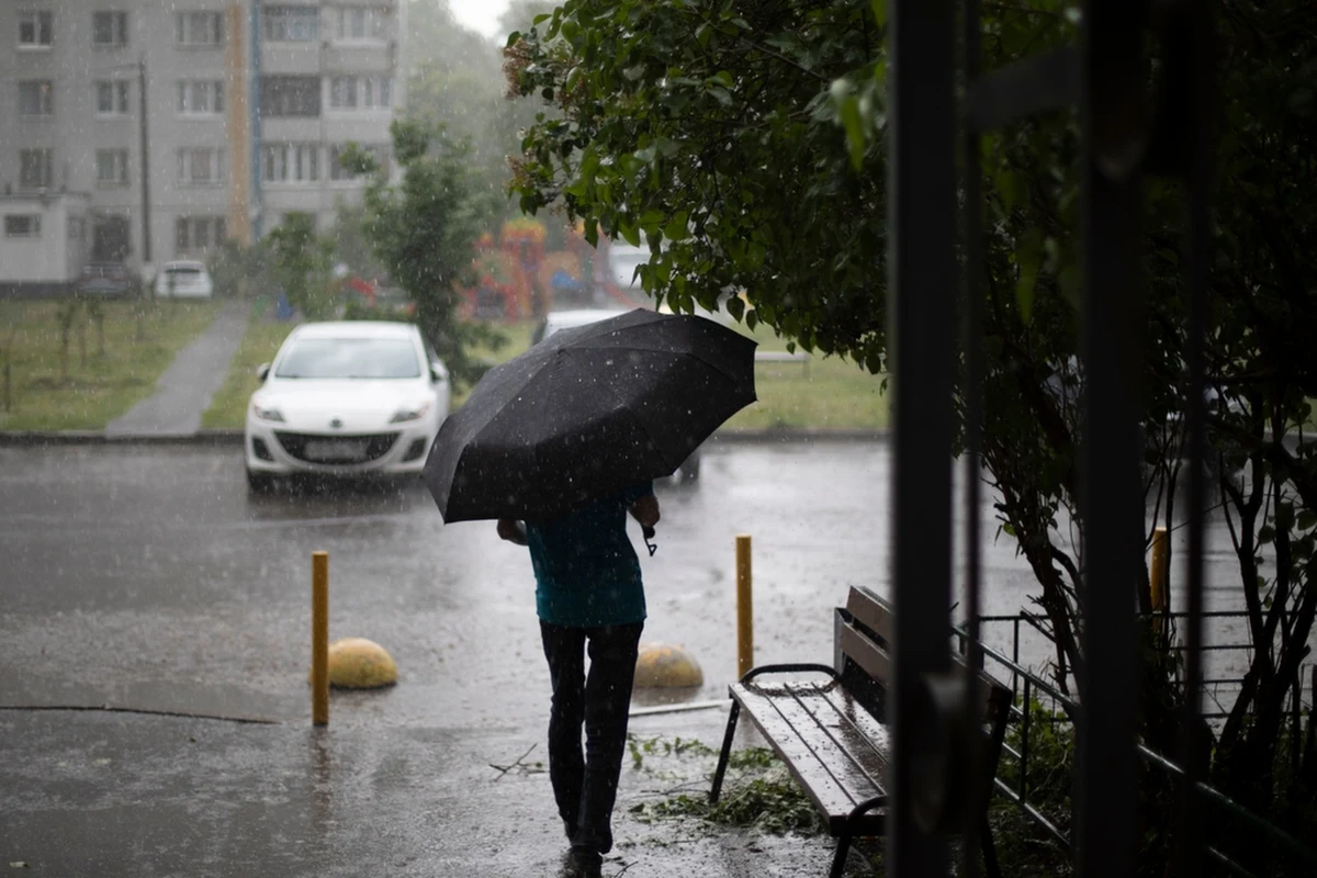 "W części województwa podkarpackiego wydano ostrzeżenia I i II stopnia przed intensywnymi opadami" - poinformował synoptyk IMGW Michał Ogrodnik. W powiatach nadmorskich obowiązują również ostrzeżenia I stopnia przed wiatrem. 