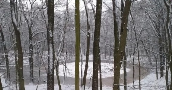 Mało kto zdaje sobie sprawę, że na północy Poznania są kratery meteorytowe. To jedno z zaledwie kilku miejsc na świecie, gdzie tego typu obiekty są powszechnie dostępne. Kratery Morasko powstały ok. 4,5 tysiąca lat temu, po upadku żelaznej asteroidy, która miała prawdopodobnie kilkanaście metrów średnicy, ale po wejściu w atmosferę rozpadłą się na kilka większych i mnóstwo mniejszych fragmentów. W rozmowie z RMF FM dr Anna Łosiak z Instytutu Nauk Geologicznych Polskiej Akademii Nauk we Wrocławiu, zaprasza na przyszłą sobotę na Dzień Kraterów Meteorytowych Morasko, imprezę, która ma to unikatowe miejsce spopularyzować. 