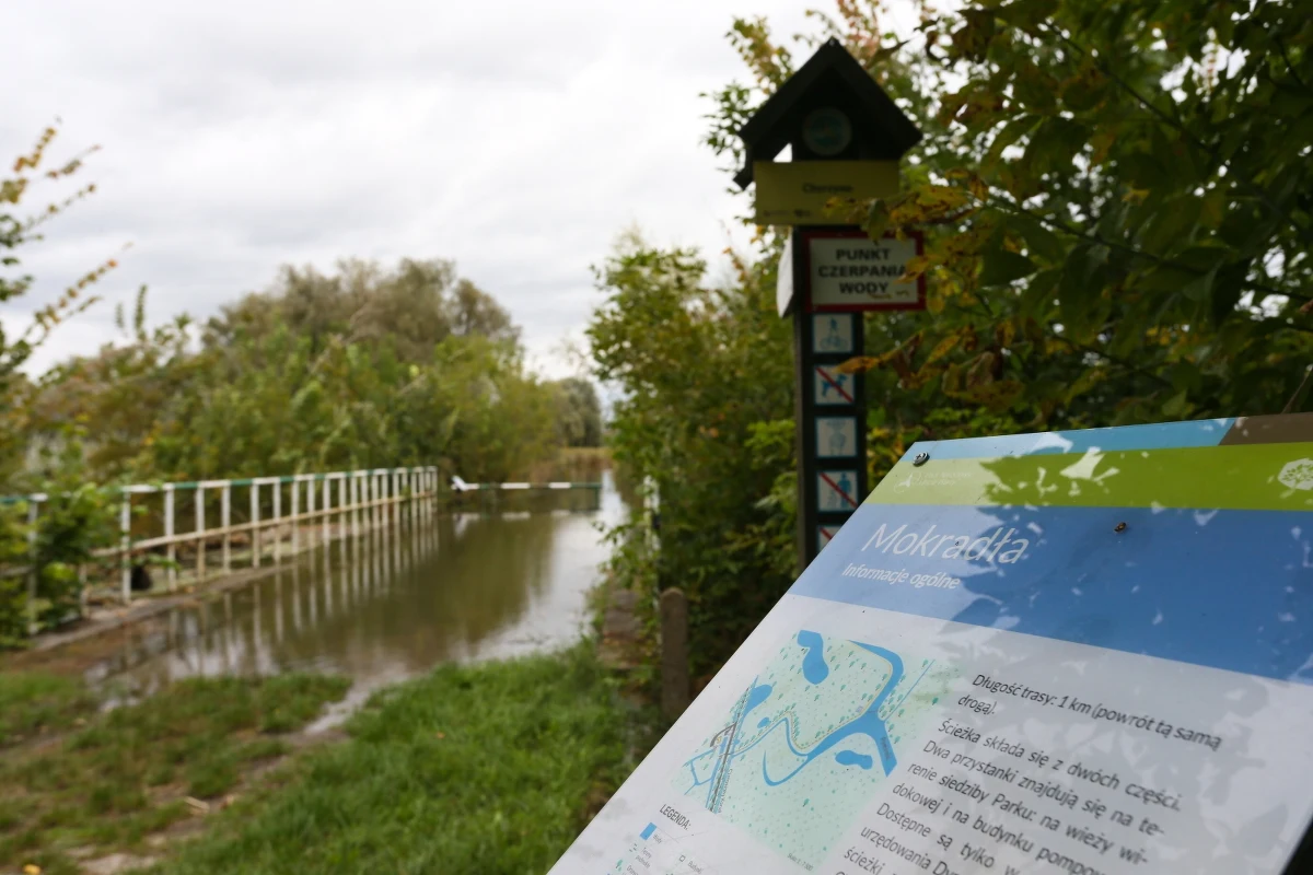 Szczyt fali powodziowej na Odrze opuścił województwo lubuskie. W sobotnie popołudnie w regionie rzeka przekraczała stany alarmowe na siedmiu wodowskazach, a jej poziom opadał. 