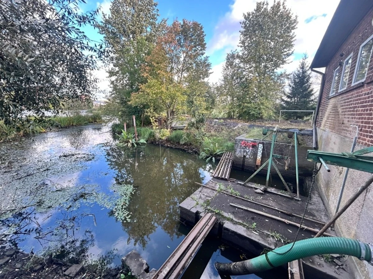 Woda w woj. zachodniopomorskim nie może być używana do picia, podlewania ogródków, pojenia zwierząt. "Nie można tam też łowić i spożywać ryb" - mówi RMF FM Hanna Pieczyńska, rzeczniczka Zakładu Wodociągów i Kanalizacji w Skawinie. W niedzielę do mieszkańców regionu trafiły alerty RCB w tej sprawie. Reporterka RMF FM Aneta Łuczkowska dowiedziała się także, że już na początku nadchodzącego tygodnia inspektorzy  ruszą w teren, by pobrać próbki niesionej przez Odrę wody.