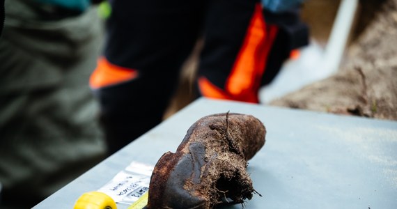 Archeolodzy Muzeum II Wojny Światowej w Gdańsku odkryli na Westerplatte trzy ludzkie szkielety. To prawdopodobnie ofiary egzekucji - polscy więźniowie niemieckiego obozu, który funkcjonował tam od września 1939 do czerwca 1941 roku. Dwóch z nich mogło być ze sobą spokrewnionych. Szczątki zostaną zbadane przez antropologów, medyków sądowych i genetyków w ramach śledztwa IPN.