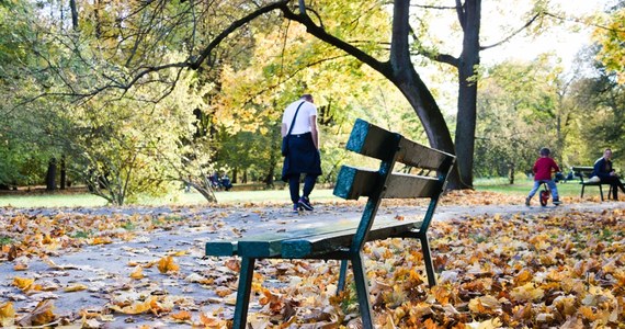 Nowy tydzień przyniesie nam typowo jesienną pogodę. Od wtorku przelotne opady deszczu spodziewane są w całym kraju. W weekend na wschodzie możliwe są przygruntowe przymrozki. 