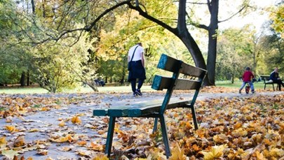 Deszcz, chmury i przygruntowe przymrozki. Nowy tydzień w pogodzie