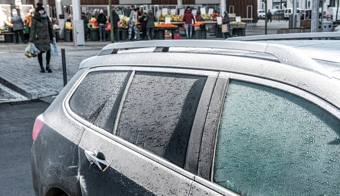 Wyraźna zmiana w pogodzie. Można ją odczuć przy gruncie