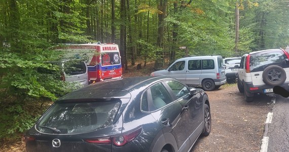 Leśnicy apelują do grzybiarzy o wyobraźnię i rozsądek. Chodzi o ich nieodpowiedzialne zachowanie w czasie grzybobrania. Ostatnio doszło do sytuacji, w której karetka nie mogła udzielić pomocy poszkodowanej kobiecie, z powodu blokujących wjazd do lasu samochodów. 