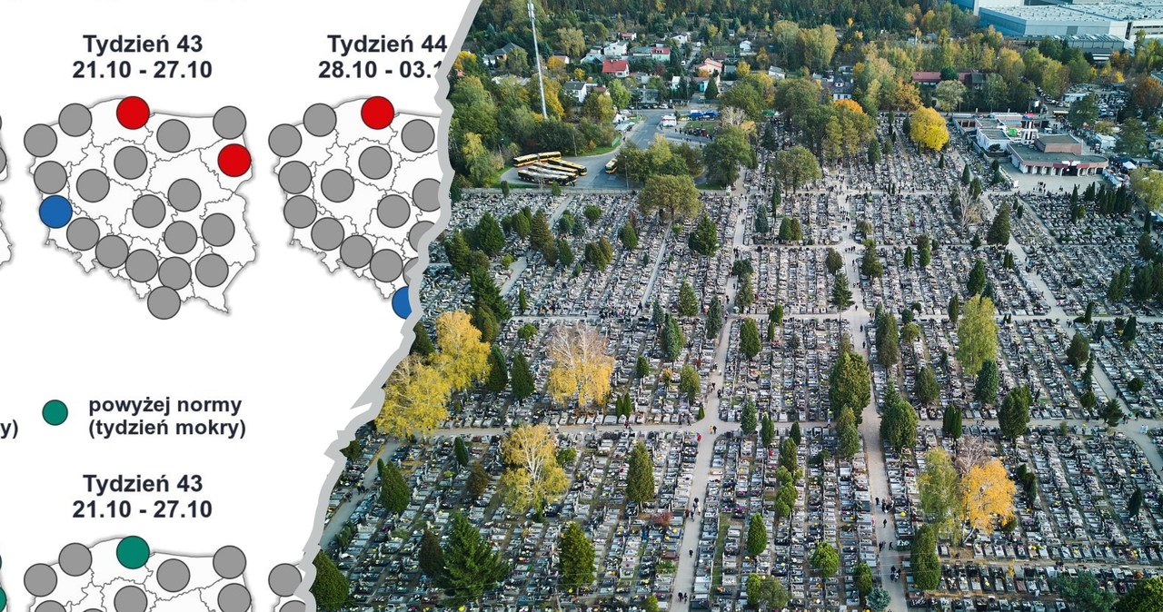  Pogoda na Wszystkich Świętych 2024. Ciekawie w jednym rejonie