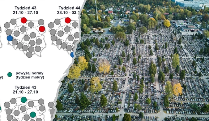 Pogoda na Wszystkich Świętych 2024. Pierwsze długoterminowe prognozy