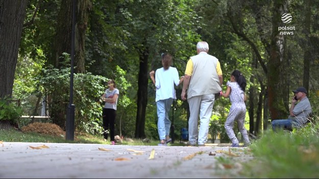 To sztandarowy program rządu. Rusza Aktywny rodzic, czyli tzw. babciowe, w trzech odsłonach: aktywni rodzice w pracy, aktywnie w żłobku i aktywnie w domu. Wystarczy kilka minut, by ubiegać się o pieniądze. I nie trzeba wychodzić z domu. Wnioski składa się wyłącznie przez internet. A jak to zrobić? Dla "Wydarzeń" przygotował Wojciech Gaweł.