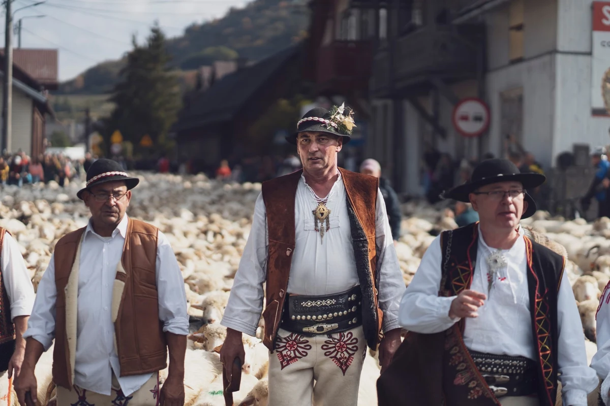 Jesienny Redyk w Szczawnicy cieszy się olbrzymią popularnością. To jedno z najbardziej widowiskowych i tradycyjnych świąt obchodzonych w polskich górach. Pozwala ono turystom cieszyć się pięknymi widokami, ale także poznawać lokalne tradycje i kulturę pasterską.