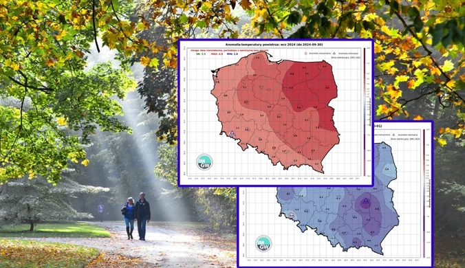 Anomalia po anomalii. Najnowsze dane IMGW zadziwiają