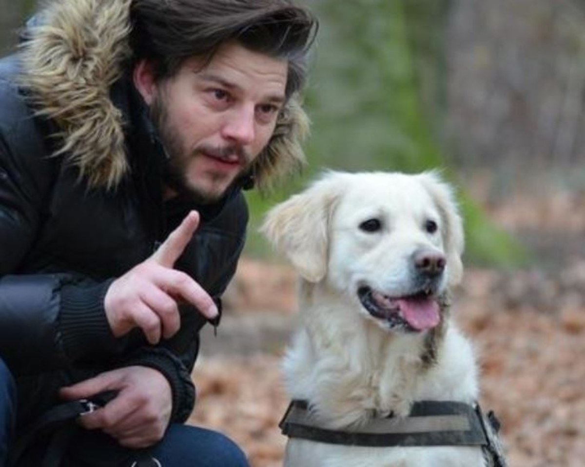 "Wy nie wiecie, a ja wiem, jak rozmawiać trzeba z psem!" - pisał w "Akademii Pana Kleksa" Jan Brzechwa. Wygląda na to, że znajomość tego, jak należy z psem rozmawiać, jest jednak powszechniejsza. Naukowcy z Uniwersytetu w Genewie piszą na łamach czasopisma "PLOS Biology", że podobnie jak w przypadku małych dzieci, do psów mówimy w nieco inny niż normalnie sposób, zauważalnie wolniej. Dzięki temu psy lepiej rozumieją, o co nam chodzi.