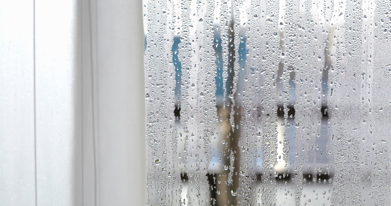 Połóż na parapecie. Zapomnisz o wilgoci i pleśni na oknach