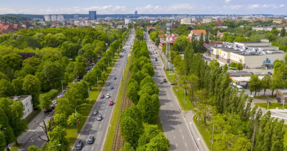 Wyjątkowych prac pielęgnacyjnych wymaga ponad połowa z 600 drzew, które rosną wzdłuż alei Zwycięstwa w Gdańsku. To pokłosie badań obciążeniowych i tomografii dźwiękowej, które prowadzone były wiosną. Akcja przycinania ruszy po 15 października.