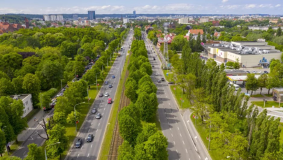 Wielka przycinka Wielkiej Alei Lipowej w Gdańsku