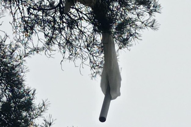 /Foto. Podlaski Oddział Straży Granicznej /